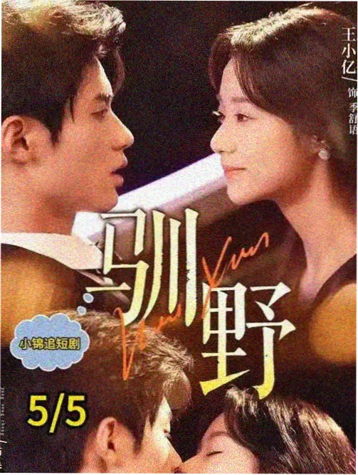 归途有风 男男兄弟小说txt下载